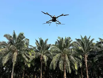 印度企业3F Oil Palm启动无人机监测项目，助力油棕种植业智慧升级 | 全球低空