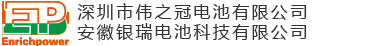 伟之冠电池