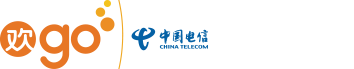 中国电信集团有限公司
