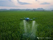 大疆农林植保无人机：引领农业现代化新飞跃