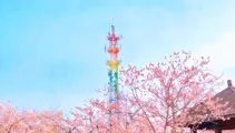 中国铁塔衡阳“低空全域视联”项目公开比选：一座通信塔正在变成低空经济的“智能哨塔”