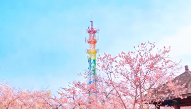 中国铁塔衡阳“低空全域视联”项目公开比选：一座通信塔正在变成低空经济的“智能哨塔”