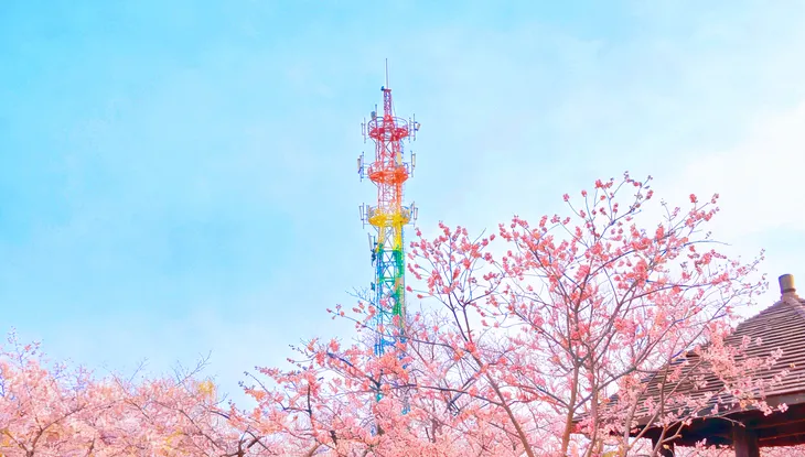 中国铁塔衡阳“低空全域视联”项目公开比选:一座通信塔正在变成低空经济的“智能哨塔”